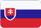 Messgeräte für Innenverzahnungen Slovensky